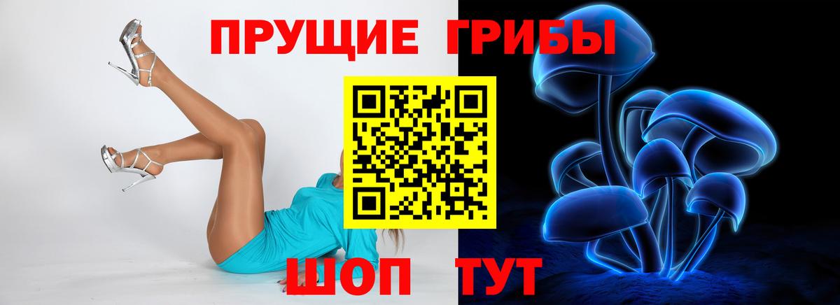 Псилоцибиновые грибы мицелий Рассказово